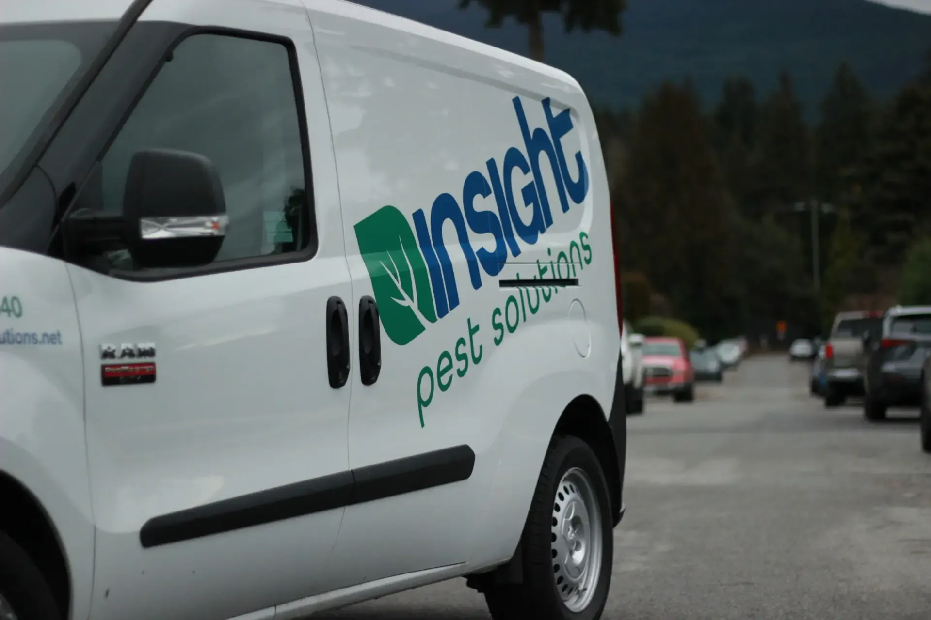 Beetle Control Services - Insight Pest Solutions Australia