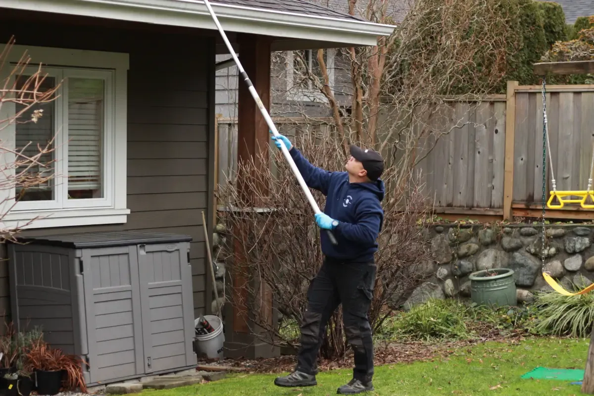 Ipswich pest control services