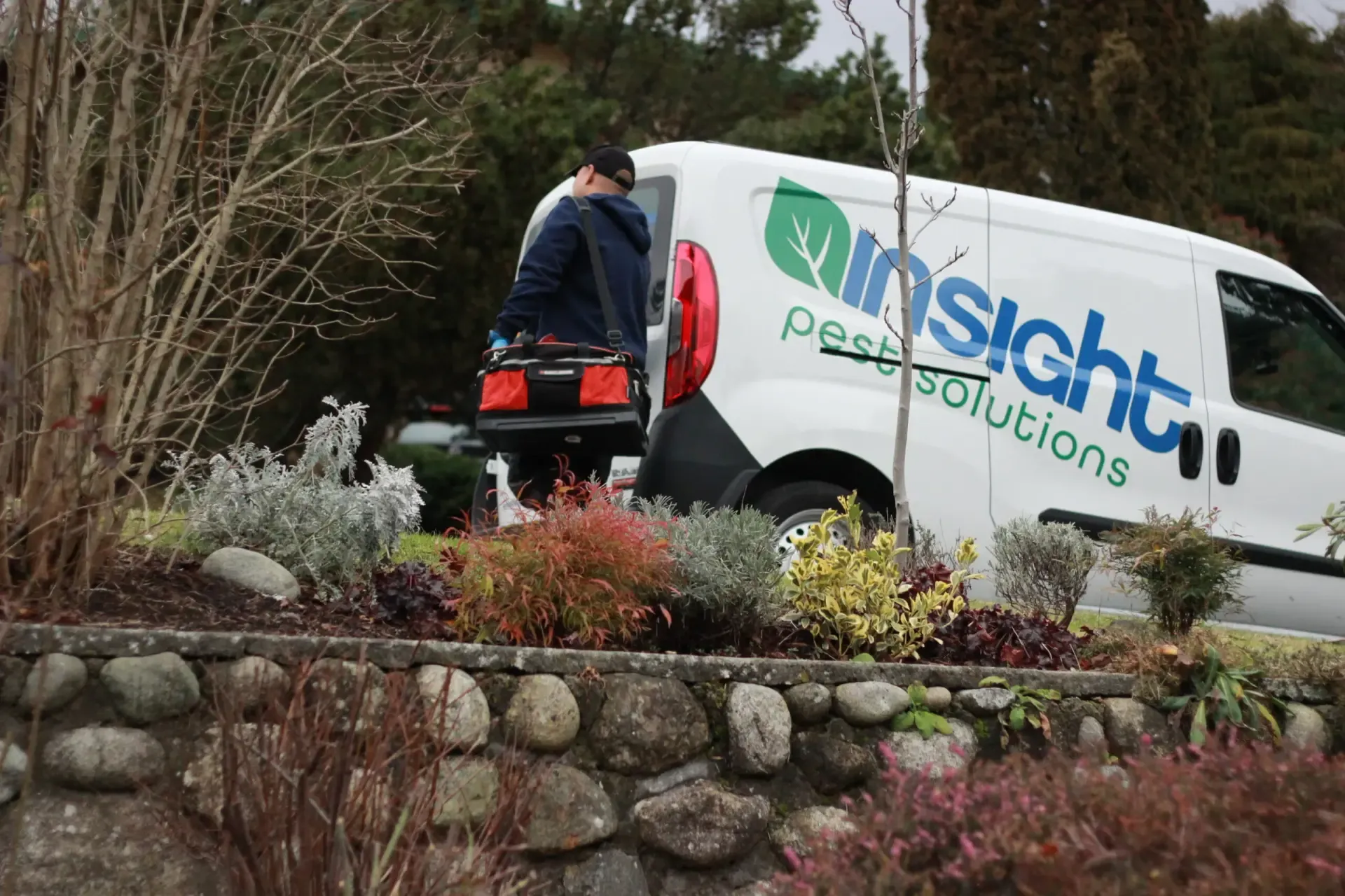 Moth Control Services - Insight Pest Solutions Australia