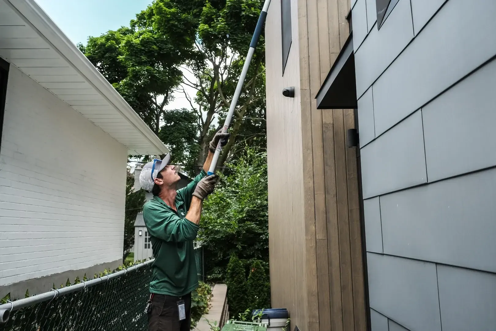 Spider Control Services - Insight Pest Solutions Australia